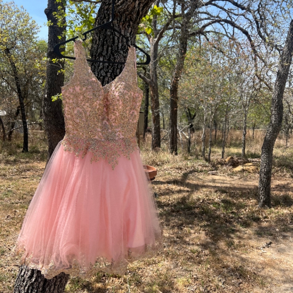 Pink Prom/Quince Jeweled Evening Dress